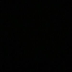 Meet your Posher, Tucker